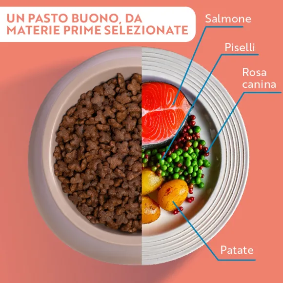 Monopro lo specialista Adult Mini Grain Free Salmone