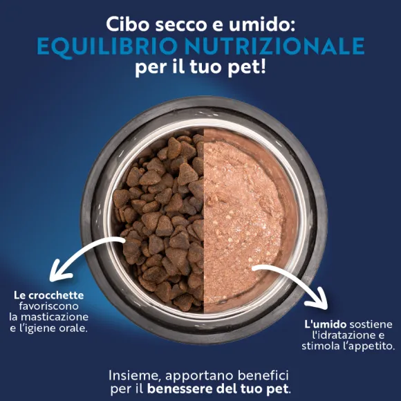 Monopro lo specialista Adult Mini Grain Free Salmone