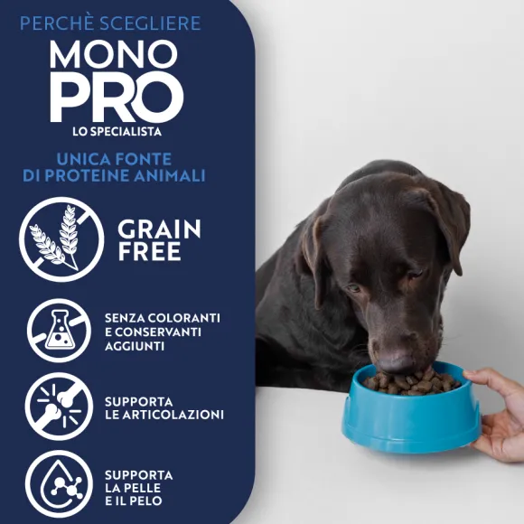 Monopro lo specialista Adult Mini Grain Free Salmone