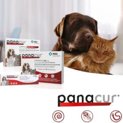MSD Panacur Pasta orale cane e gatto