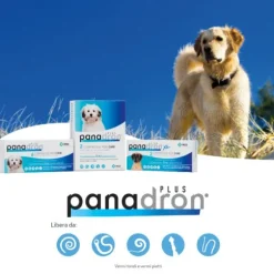 MSD Panadron Plus vermifugo compresse per cani <35 Kg