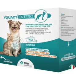 MSD YouAct Entero cane e gatto