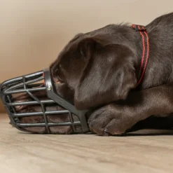 Museruola per cani in plastica PetUp
