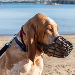 Museruola per cani in plastica PetUp