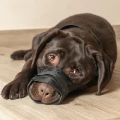 Museruola per cani regolabile a incrocio in tessuto PetUp