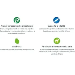 Natural Trainer Adult Maxi con Pollo Fresco e riso