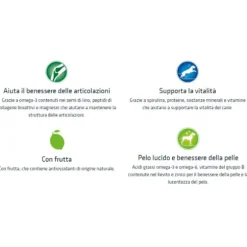 Natural Trainer Adult Maxi con Manzo e riso
