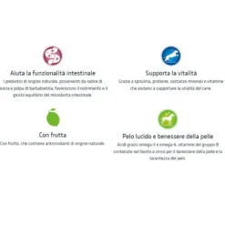 Natural Trainer Adult Medium con Pollo Fresco e riso