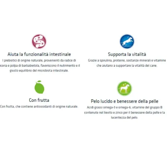 Natural Trainer Adult Medium con Pollo Fresco e riso