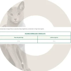 Oasy Caprice Cat Adult Dadini in salsa 85 gr