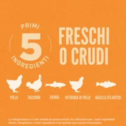 Orijen Original Cat Food
