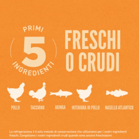 Orijen Original Cat Food