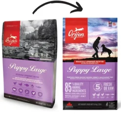 Orijen Puppy Large Dog Food