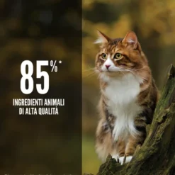 Orijen Regional Red Cat Food