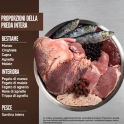 Orijen Regional Red Cat Food