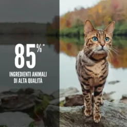 Orijen Six Fish Cat Food