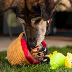 Peluche interattivo Hide&Seek per cani Croci