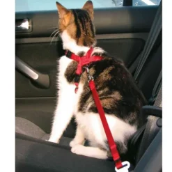 Pettorina con cintura per auto gatti Trixie