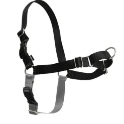 Pettorina Easy Walk Professional Trixie