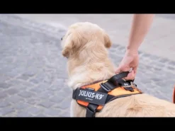 Pettorina IDC Powair harness Julius-K9
