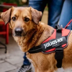 Pettorina IDC Powair harness Julius-K9