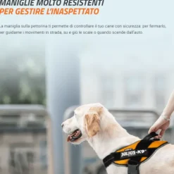 Pettorina IDC Powair harness Julius-K9