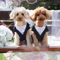 Pettorina per cani da cerimonia Croci Ceremony