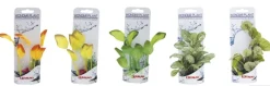 Piante finte decorative Wonder Amtra