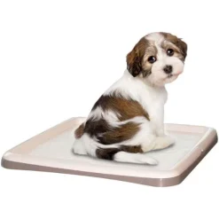 Portatappetino per addestramento cuccioli Tip&Tap PetUp