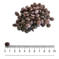 Prolife Grain Free Puppy Sensitive Mini Maiale e patate