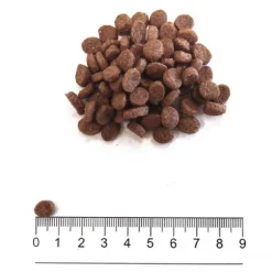 Prolife Sensitive Cane Adult Mini Agnello e Riso