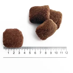 Prolife Smart Cane Adult Giant breeds Manzo e Riso