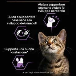 Purina Pro Plan Baby Kitten Healthy Start Umido Gatti Mousse Pollo 85 g