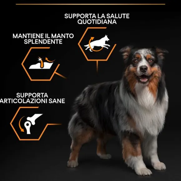 Purina Pro Plan Everyday Nutrition Medium Adult Crocchette Cane Pollo