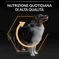 Purina Pro Plan Everyday Nutrition Medium Adult Crocchette Cane Pollo