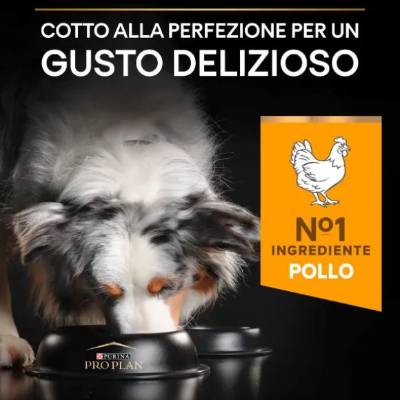 Purina Pro Plan Everyday Nutrition Medium Adult Crocchette Cane Pollo