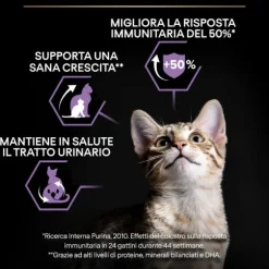 Purina Pro Plan Healthy Start Sterilised Kitten con Salmone