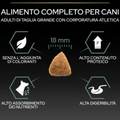 Purina Pro Plan Large Adult Athletic Sensitive Digestion Agnello e Riso