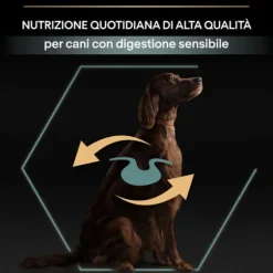 Purina Pro Plan Large Adult Athletic Sensitive Digestion Agnello e Riso