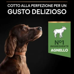 Purina Pro Plan Large Adult Athletic Sensitive Digestion Agnello e Riso
