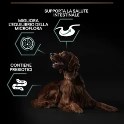 Purina Pro Plan Large Adult Athletic Sensitive Digestion Agnello e Riso