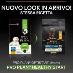 Purina Pro Plan Large Robust Puppy Healthy Start Crocchette Cane