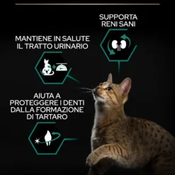 Purina Pro Plan Renal Plus Sterilised Adult 1+  con Salmone