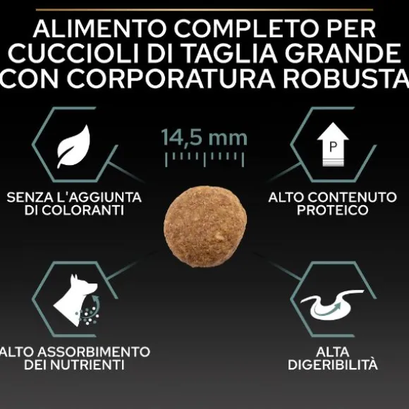 Purina Pro Plan Sensitive Digestion Large Robust Adult Crocchette Cane Agnello