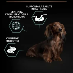 Purina Pro Plan Sensitive Digestion Small e Mini Adult Crocchette Cane Agnello