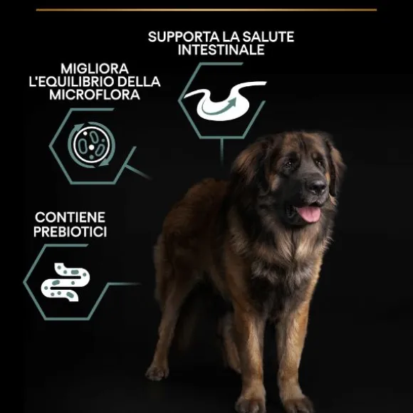 Purina Pro Plan Sensitive Digestion Large Robust Adult Crocchette Cane Agnello