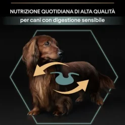 Purina Pro Plan Sensitive Digestion Small e Mini Adult Crocchette Cane Agnello
