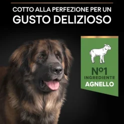 Purina Pro Plan Sensitive Digestion Large Robust Adult Crocchette Cane Agnello