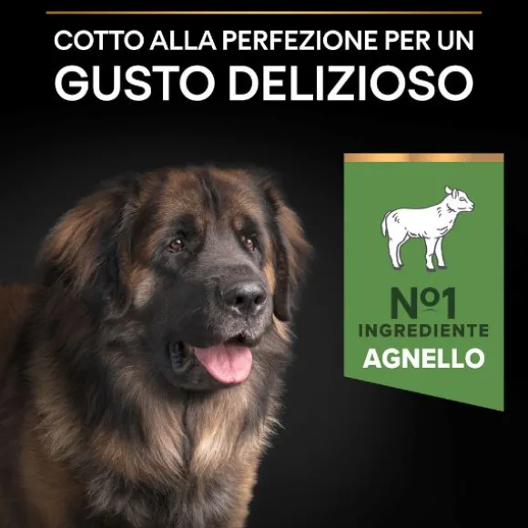 Purina Pro Plan Sensitive Digestion Large Robust Adult Crocchette Cane Agnello