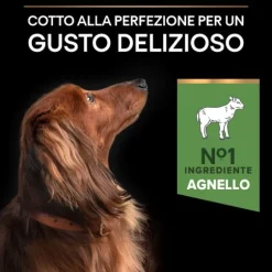 Purina Pro Plan Sensitive Digestion Small e Mini Adult Crocchette Cane Agnello